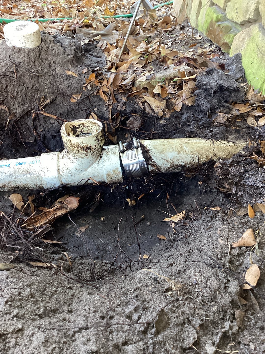 A Christmas Emergency on Amelia Island — and a Holiday Saved